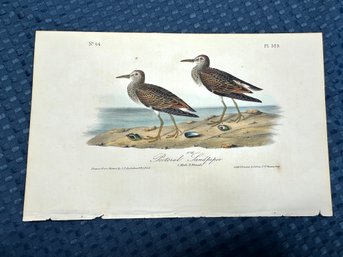 Lot 826 - 1840s - 1st Edition - Pectoral Sandpiper - Birds Of America - By John James Audubon Royal Octavo