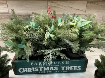 Lot 442 - Farm Fresh Green Wooden Christmas Tree Box - 3 Holly Bushes - 3 Tiny Artificial Trees