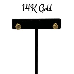 Lot 36LO- 14K Gold Shell Earrings - Nautical Jewelry - Weight In Photos