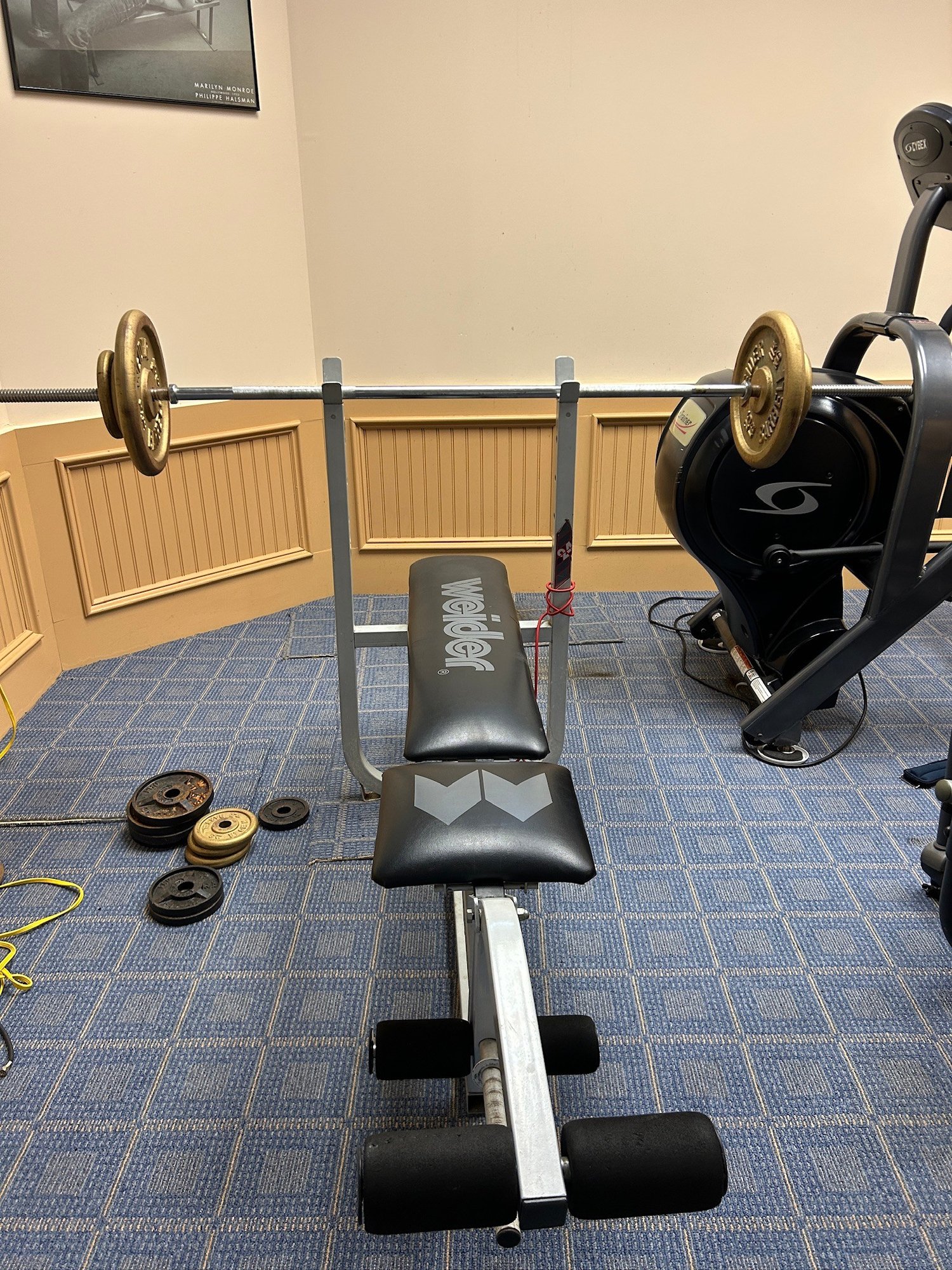 Weider Platinum Series Weight Bench Setup: Bench, Olympic Bar, And Free ...