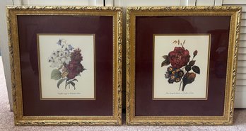 Pierre-Joseph Redout Framed Botanical Prints - Pair Of Ornate Gilt Framed - 2 PCS
