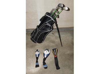 Assorted Lot Of Gold Clubs With Precise Golf Stand Bag