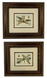 Framed Dragonfly Lithographic Prints By Bassett Mirror Company - #R3