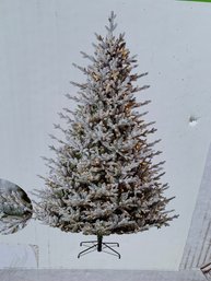 At Home 7.5-Foot Pre-Lit LED Frosted Bridgton Spruce Tree (NEW) - #SC