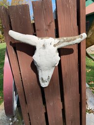Painted Cast Concrete Bull Head Skull & Horns - #FY