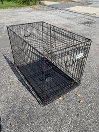 Large Wire Dog Cage By Dream Crate - #BR