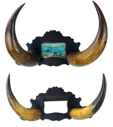 Vintage Bull Horn & Carved Wood Wall Mount Photo Frames (Set Of 2) - #S8-1