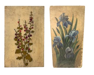 Antique Late 19th-Early 20th Century Botanical Oil On Board Paintings - #A4
