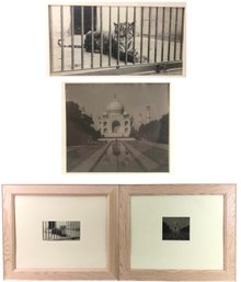 Bengal Tiger & Taj Mahal Framed Lithographic Prints - #A11