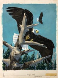 1977 Signed Jack Dumas Flying Eagles Wildlife Acrylic On Board Painting - #S8-4