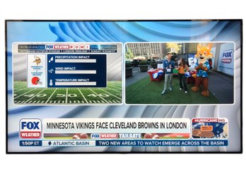 Samsung 66-Inch Flat Screen Television (WORKS) - #LR