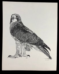 Falcon Limited Edition Lithograph, Signed - #S11-1