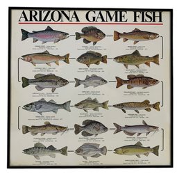 Arizona Game Fish Framed Poster - #A4