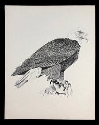 American Bald Eagle Limited Edition Lithograph, Signed - #S11-3