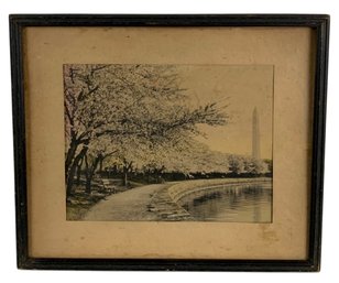 Washington Monument Cherry Blossom Hand Colored Chromolithograph - #C3