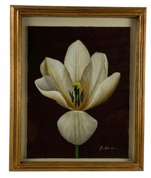 John Matthew Moore (American, B. 1963) Signed Botanical Gouache Painting - #LBW-W