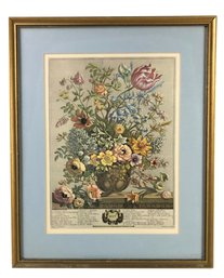 'Twelve Months Of Flowers: May' Framed Art Print By Henry Fletcher - #A2