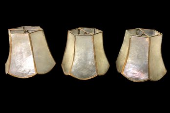 Capiz Shell Clip-On Sconce Lamp Shades (Set Of 3) - #S3-4