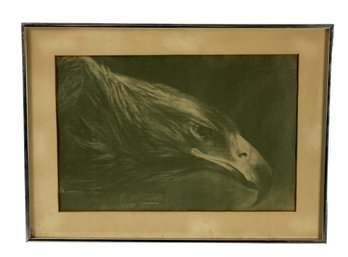 Vintage Eagle Framed Art Print By Larry Branca, 1982 - #C1