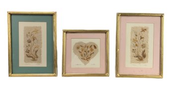 'Wildflowers' Framed Pressed Flower Art, Signed - #S12-2