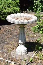 Cast Cement Bird Bath