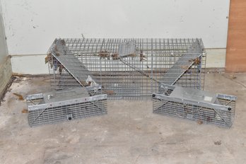 Humane Animal Cage Pest Traps - Squirrels Rodents - 3 Total
