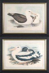 Two Antique Gould & Richter Aquatints (CTF20)