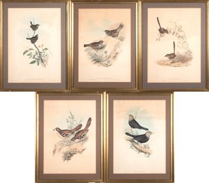 Antique Gould & Richter Prints, 5pcs (CTF20)