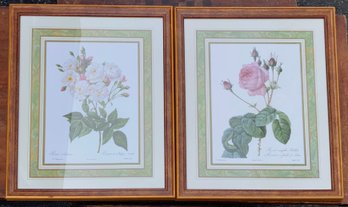 Two Reproduction Botanical Prints (CTF10)