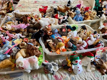 Ty Beanie Baby Collection