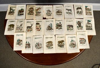 Jacopo Leonardis Colored Engravings, Animals (CTF10)