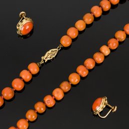 Vintage 14k Gold Red Coral Screwback Earrings & Coral Necklace (CTF10)
