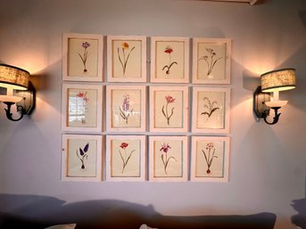 Lot Of 12 Framed Botanical Prints