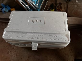 Igloo Cooler 72 Quart