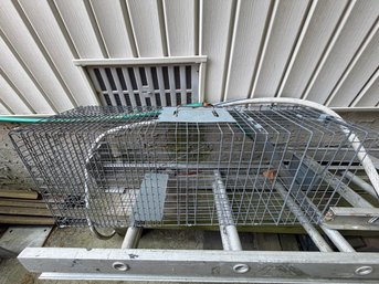 Animal Trap