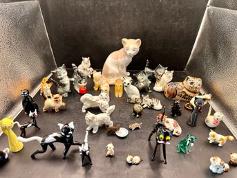 Kitty Cat Collection