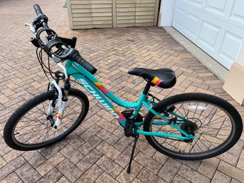 Girls 24 Inch Schwinn Bicycle