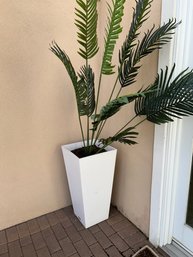 Pair Of Tall White Outdoor Planters With Ferns