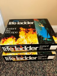 Set Of 2 Life Ladders