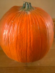 Cement Pumpkin - Very Heavy