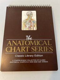 The Anatomical Chart Series By Peter Bachin And Ernest Beck