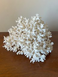 White Lace Coral Cluster