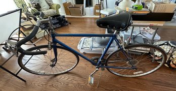 Vintage Sears Free Spirit Bicycle