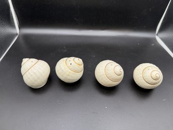 Vintage Mikasa Narumi Seashell Salt And Pepper Shakers