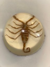Vtg Large Scorpion Paperweight
