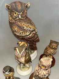 Collection Of Owl Figurines