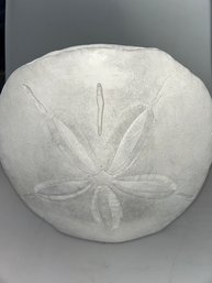 Sand Dollar Vase