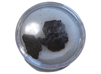 Meteorite Fragments In Clear Round Display Case