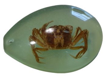 Green Resin Crab Specimen Pendant