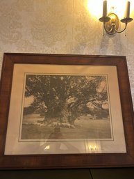 Lot 83- Beautifully Framed Crimmins & Peirce Co. Print. Copyright 1919. Wool Merchant.